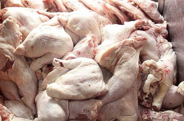 پلمب شرکت توزیع مرغ فاسد در ابهر