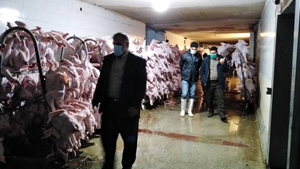 جلوگیری از خروج غیر قانونی ۳۰۰ تن مرغ از ۴ کشتارگاه استان اصفهان