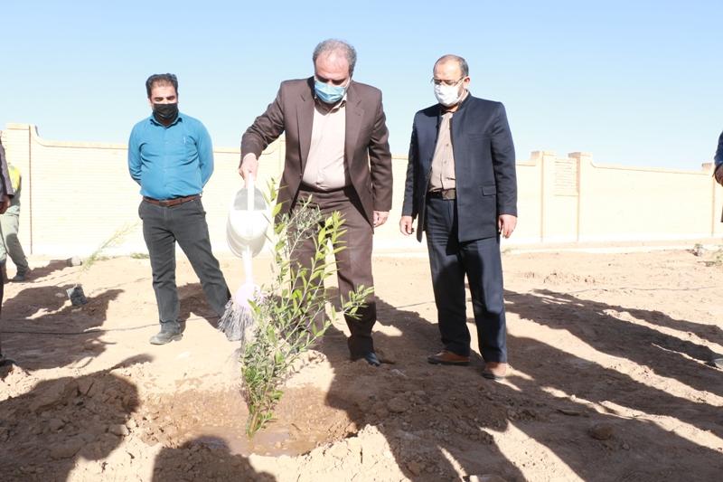 کاشت درخت با هدف کمک به محرومان