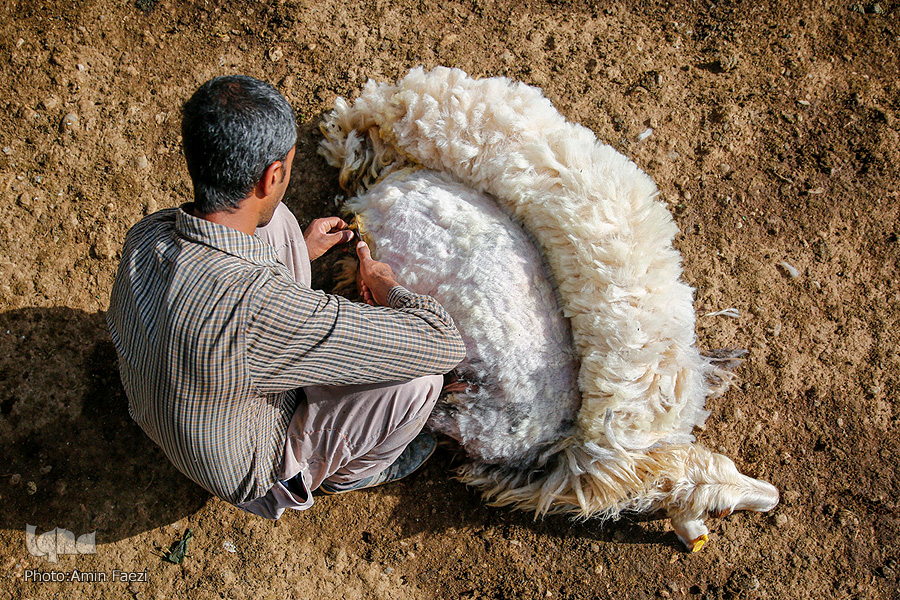 اجرا ۲ هزار و ۵۰۰ پروژه محرومیت زدایی در کشور