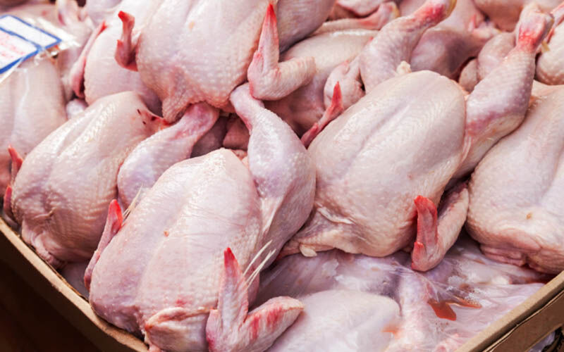 تولید روزانه ۷۵۰۰ تن مرغ در کشور