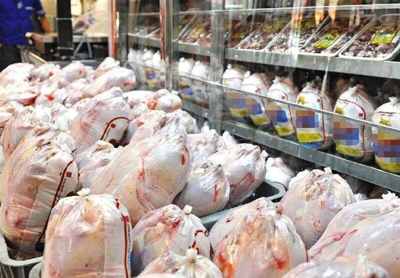 نیاز روزانه مرغ کشور ۶ هزار و ۵۰۰ تن است