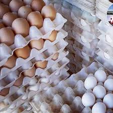 توقیف تخم مرغ غیر مجاز در سربیشه