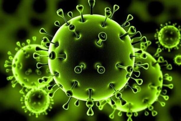 شناسایی۴۲ مورد جدید مبتلا به کرونا ویروس در ایلام