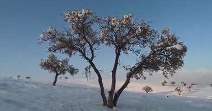 افزایش ۲۹ درصدی بارندگی‌ها در مراغه