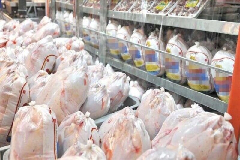 ذخیره روزانه 260 تن مرغ در گیلان