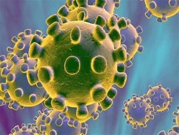 موسسه کخ: ویروس کرونا را نمی‌توانیم از بین ببریم