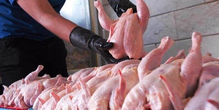 اجرای شیوه نامه جدید برای کنترل قیمت مرغ در فارس