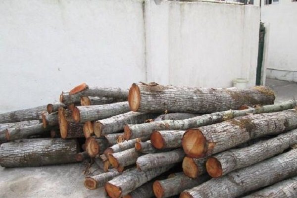 کشف ۷ تن چوب قاچاق در بهاباد