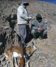 افزایش ۷۵ درصدی دستگیری شکارچیان غیر مجاز در خراسان جنوبی