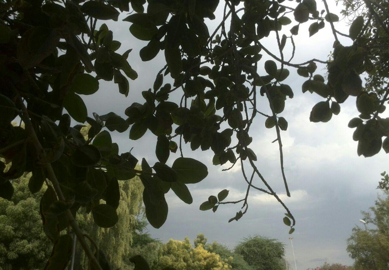 آسمان فارس ابری همراه با بارش‌های رگباری پراکنده