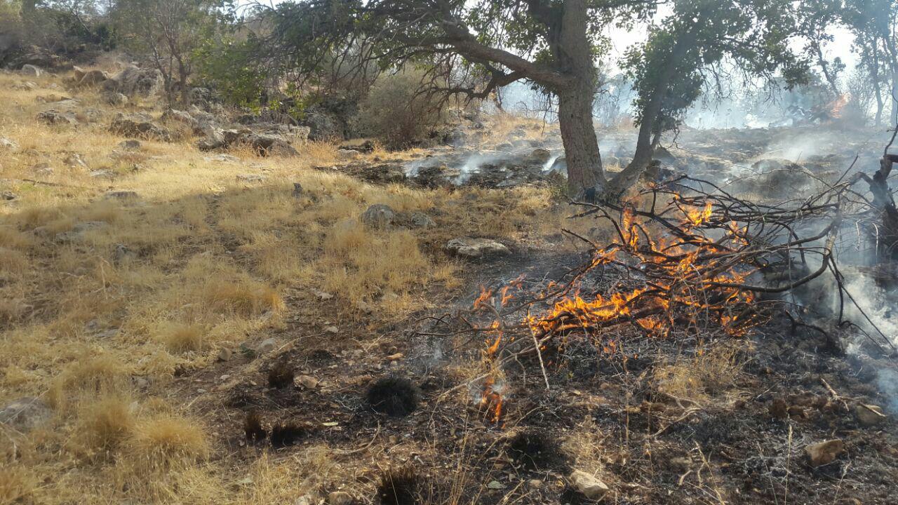 مهار آتش‌سوزی در پارک ملی نایبند