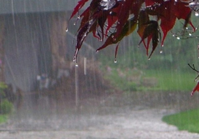 ثبت بیشترین میزان بارندگی در تاکستان