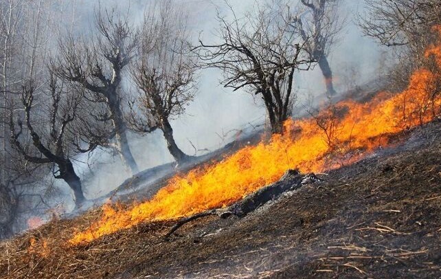 وقوع ۶۰ آتش‌سوزی در جنگلها و مراتع آذربایجان‌شرقی