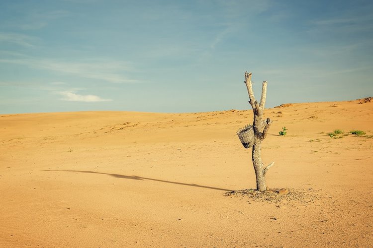 یک میلیارد نفر در سال ۲۰۷۰ در گرمای شدید زندگی خواهند کرد