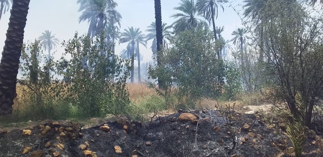 مهار آتش سوزی در باغ‌های قیروکارزین