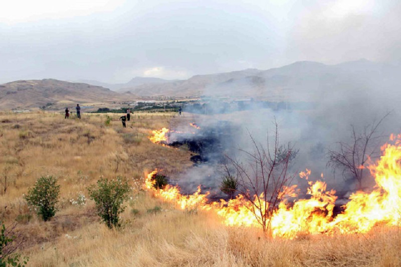 آتش به جان ۷۶ هکتار از اراضی طبیعی افتاد