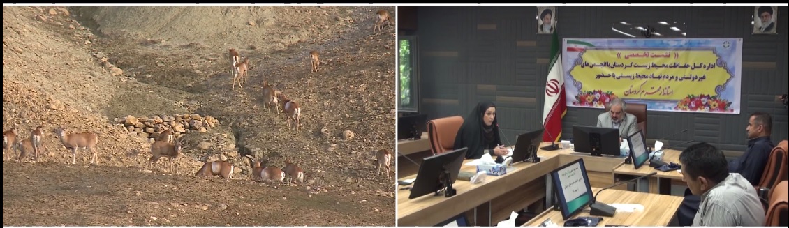 افزایش مناطق حفاظت شده در کردستان