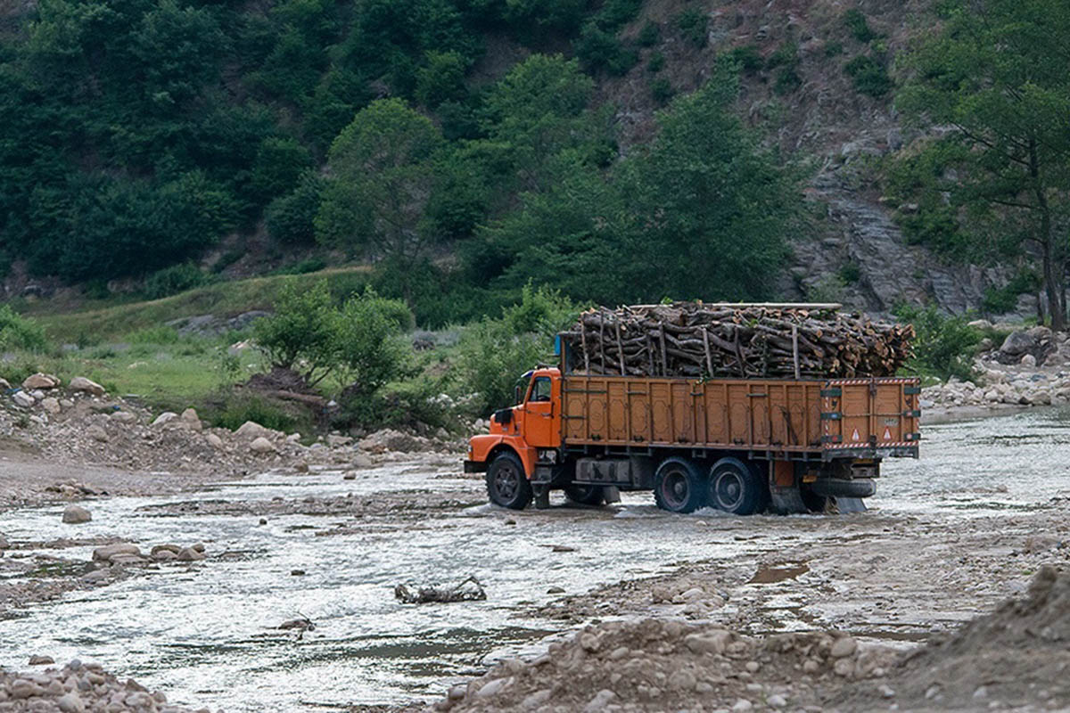 کشف و ضبط ۱۰ تن چوب قاچاق در سردشت