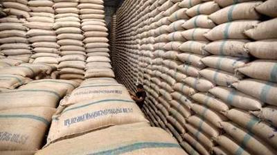خرید۱۴۲ هزار تن گندم اضافه بر نیاز کشاورزان