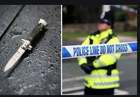 کشته شدن دو کودک در حادثه چاقوکشی در لندن