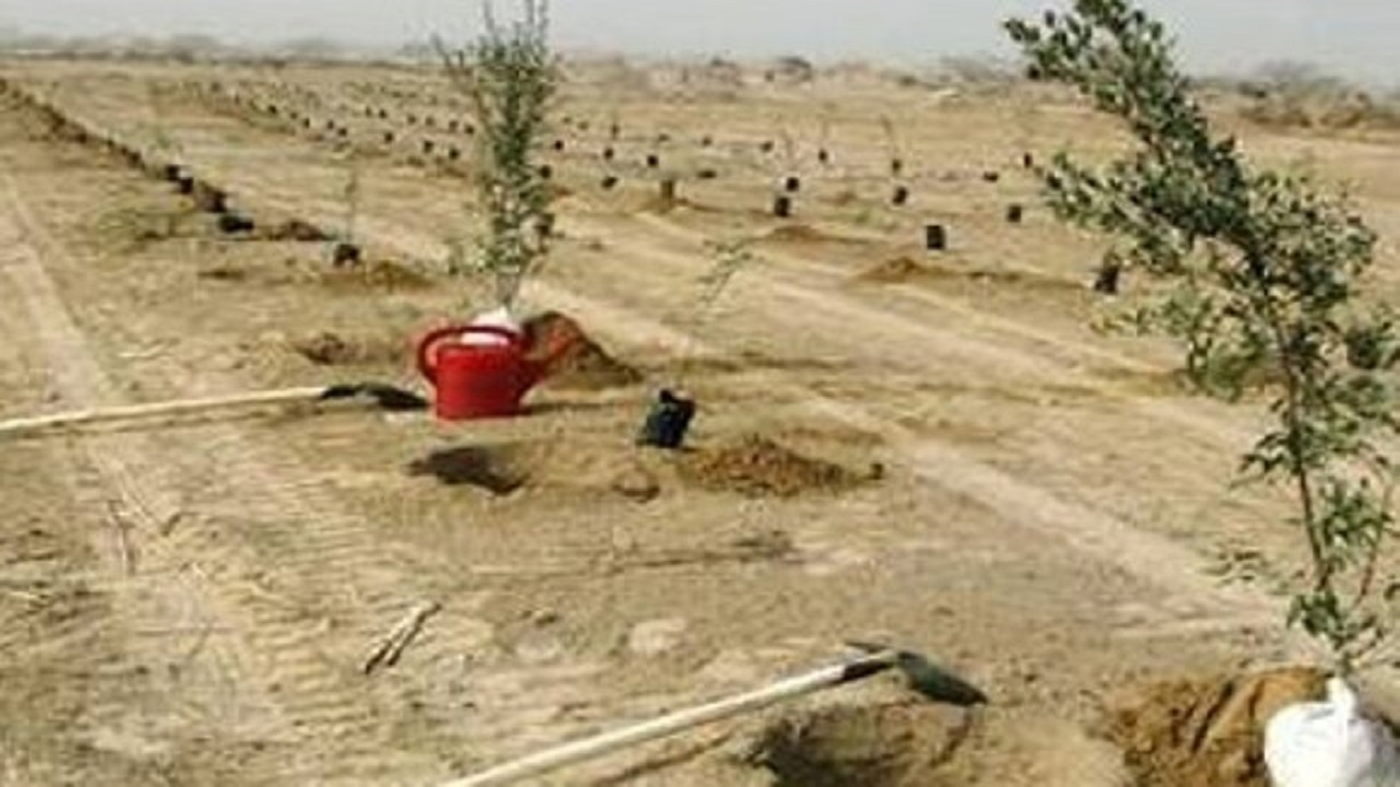 رفع تصرف دو و نیم هکتار از اراضی ملی در تاکستان و ضیاء آباد