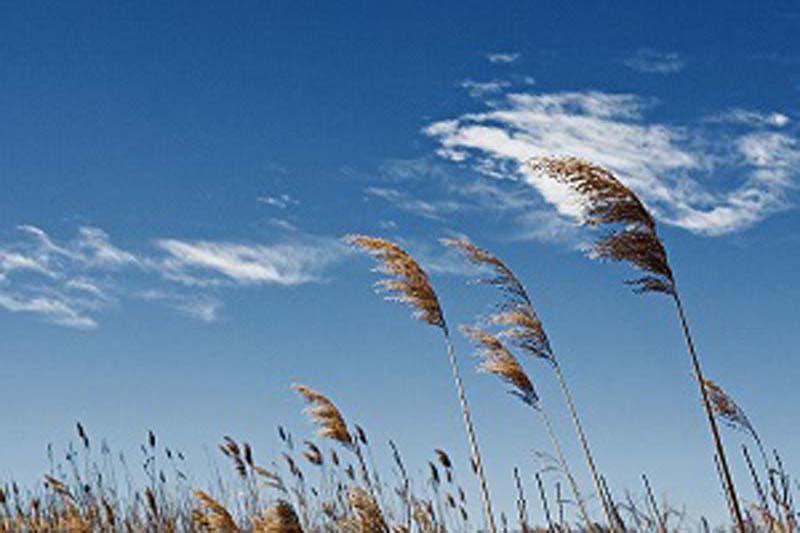 پیش بینی گرد و خاک محلی برای آسمان قزوین