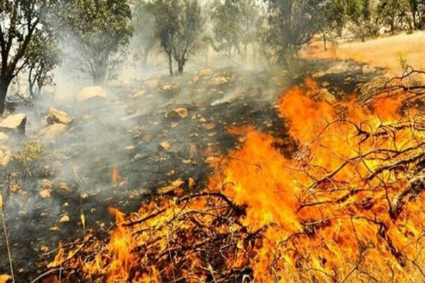 آتش سوزی در ۱۵ هکتار از مراتع جنگلی سیریک