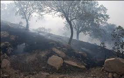 مهار آتش سوزی اراضی جنگلی زرین درخت خانمیرزا