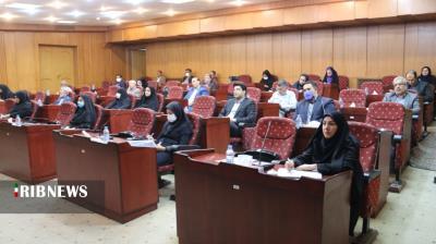 اجرای طرح ملی سلامت روان سامان در کرمان