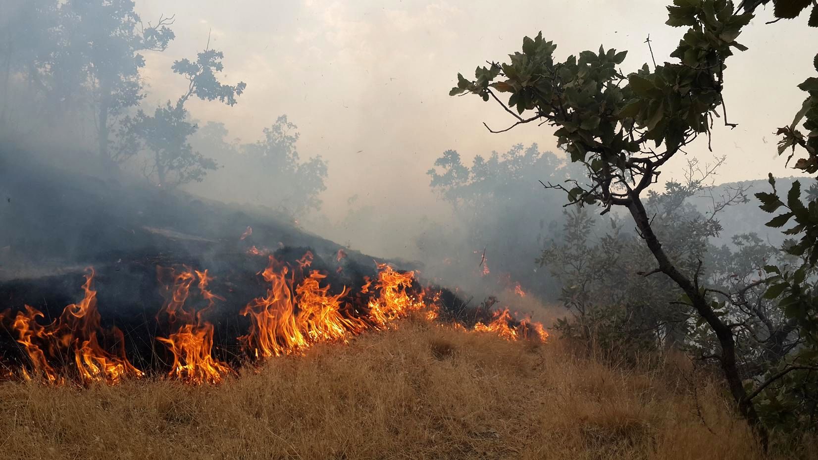وقوع آتش سوزی در مراتع و جنگل‌های دالاهو