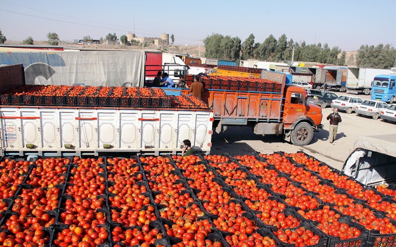 ممنوعیت صادرات گوجه فرنگی از مرز پرویزخان