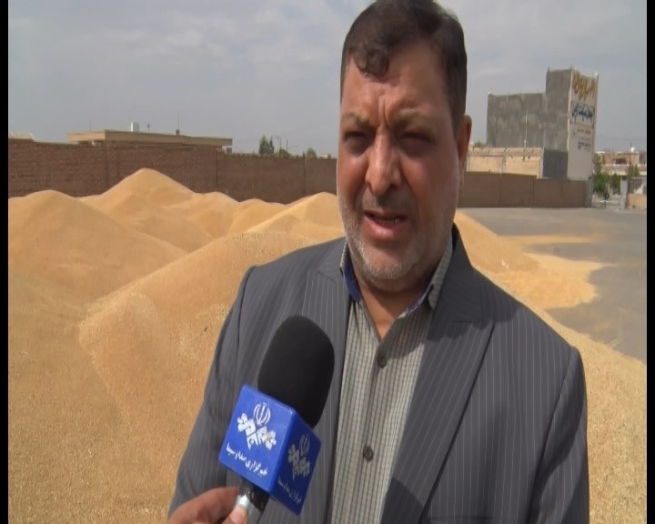 سرانه مصرف آرد در استان اصفهان پایین است