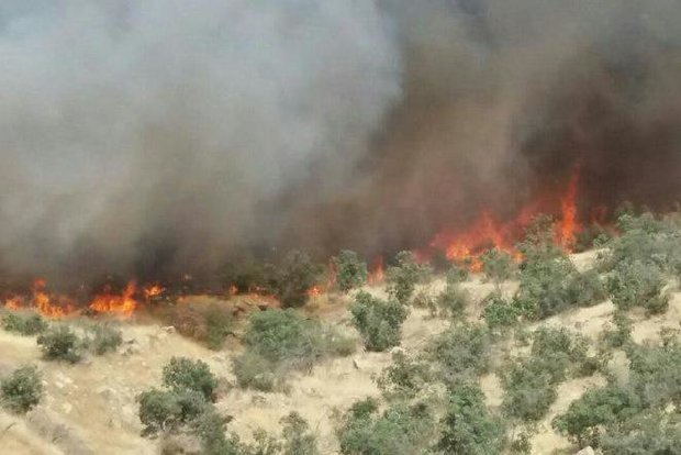 شناسایی عامل آتش سوزی تنگ قیر چرداول