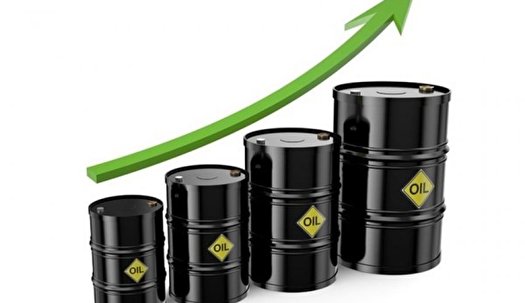 افزایش بهای نفت خام