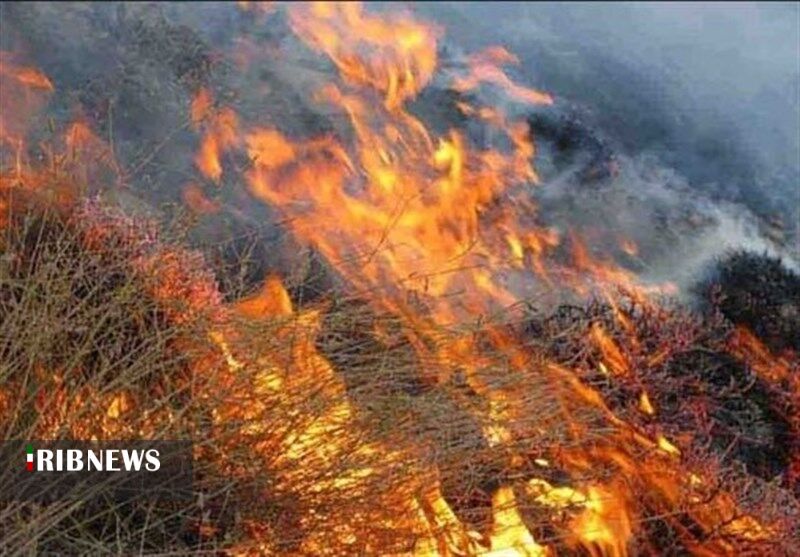 آتش سوزی در کمین مراتع و جنگل ها