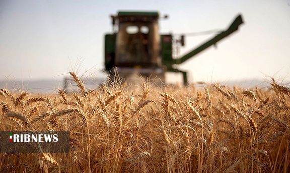 پیش‌بینی برداشت بیش از 35 هزار تن گندم در پارس‌آباد