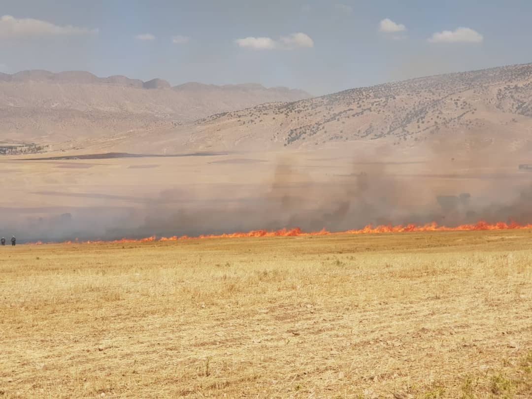 ۲۲ هکتار از مزارع گندم شهرستان گیلانغرب طعمه حریق شد