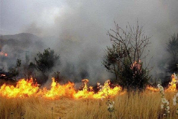 برخورد جدی با عوامل سوزاندن بقایای کشاورزی در  فارس