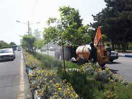 آمادگی شهرداری مشهد برای سمپاشی درختان مقابل منازل و محلات
