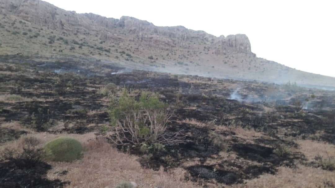 آتش سوزی این بار در ارتفاعات مشرف به شهروراوی