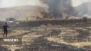 آتش سوزی در ۳۵ هکتار از مزارع شهرستان چرام