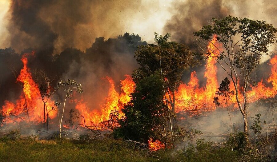 آتش‌سوزی ۱۱ هکتار از مناطق تحت حفاظت محیط زیست خراسان رضوی