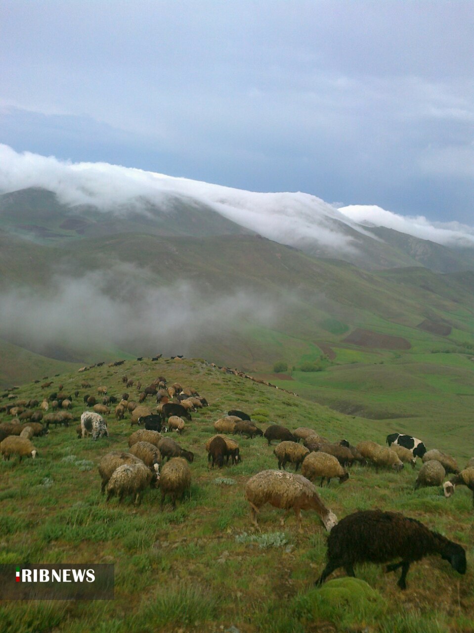 نماهای دیدنی طبیعی از  ابهر