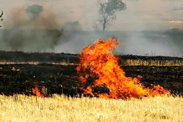 ثبت ۳۰ مورد آتش سوزی در مزارع  قزوین