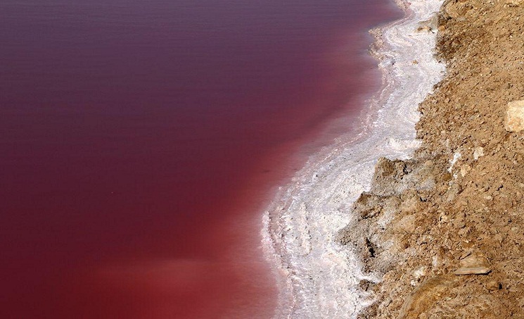 دریاچه نمک قم برای اولین بار سرخ شد