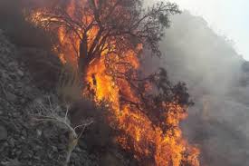 مهار آتش سوزی منطقه بنه کلاغی شهرستان نی ریز