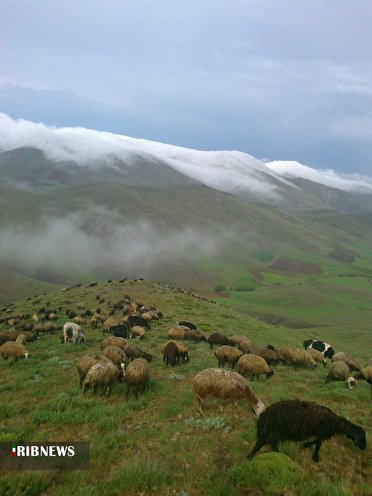 بارش پراکنده باران در نیمه شمالی استان زنجان