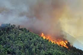 آتش سوزی جنگل های گیلان