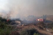 افزایش آتش‌سوزی در نخلستان‌های آبادان نگران کننده ‌است